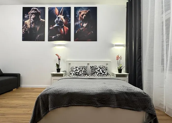 Chicago Apartment